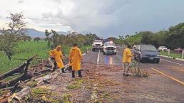 Fuertes lluvias dejan varios árboles caídos y carreteras dañadas, en Morelos