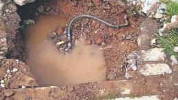 Detectan 10 mil tomas clandestinas de agua potable en Cuernavaca