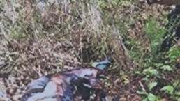 Hallan cadáver calcinado en zona boscosa del Edomex, tenía reporte de desaparición