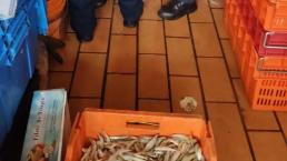 Vendedor de mariscos da mal paso y muere al caer en la Central de Abasto, en Iztapalapa