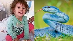 Serpiente ataca a niña de 2 años pero ella se venga y la mata a mordidas, en Turquía