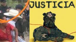 Profepa presenta denuncia penal por el cruel asesinato de un oso bebé, en Coahuila
