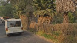 Encuentran tres cadáveres dentro de una choza en terreno baldío, en Xochimilco