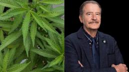 “La marihuana es un relajante, como el tequila”, asegura el expresidente Vicente Fox