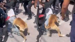 VIDEO: Policías rescatan a ladrón de ser linchado pero no de mordidas de perro, en Puebla