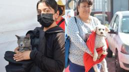 Llevan a esterilizar a 200 michis y peluditos, en Chimalhuacán