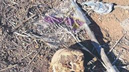 Hallan cuerpo putrefacto de morelense en campos de cultivo de Baja California