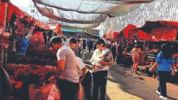 Por la inflación, peligra la venta de flor de Nochebuena en el Mercado Jamaica de CDMX