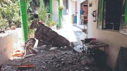 Sustazo para abue; cae techo de su casa en Temixco