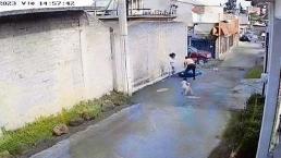 Cámaras captan golpiza a seño frente a una niña en la alcaldía Tlalpan 