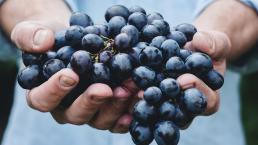 Encuentran nuevas propiedades contra el Cáncer en las uvas rojas 