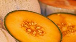 Tras brote mortal en EU y Canadá, melones mexicanos ya dieron negativo a salmonelosis