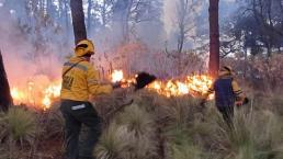 La temporada de incendios forestales está con todo, recomendaciones para cuidar los bosques