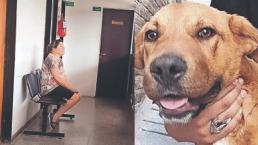Mujer pidió a carniceros que le prepararan un perrito para comer, en Argentina