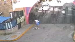 Video: Hombre golpea brutalmente a su perrita por no querer caminar, en Tultepec