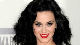 Fan 'toquetea' a Katy Perry en pleno concierto | VIDEO 