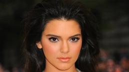 Kendall Jenner presume su “mono” 