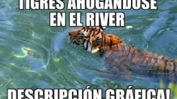 El fracaso de Tigres ante River Plate | MEMES