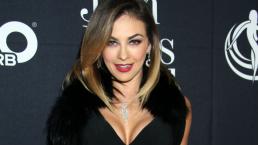 Aracely Arámbula y sus mejores bikinis | GALERÍA