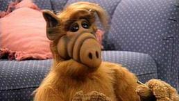 Alf