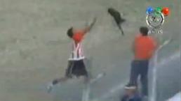 Avienta a un perro a las tribunas