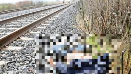 Presunto migrante muere al caer del tren 'La Bestia'