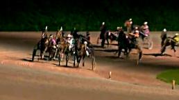 Conejo gana carrera de caballos | VIDEO