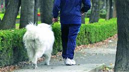 Falsos veterinarios vacunaban a perros y gatos con agua