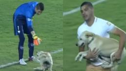 Perro interrumpe partido de Táchira vs Pumas