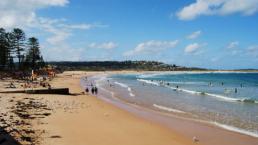 Aparecen “huevos alienígenas” en playas de Australia