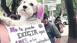 Viejita fue quien ‘se echó’ a perros envenenados