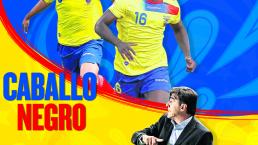 Ecuador: caballo negro de Copa América