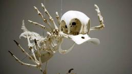 Artista construye los esqueletos de personajes animados