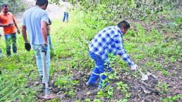 Encuentran cuatro cuerpos en fosas de Guerrero