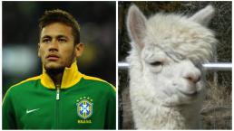 Neymar 