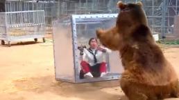 Agresivo oso casi se come a mujer | VIDEO