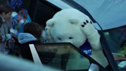 Oso polar de Sochi odia viajar en auto | VIDEO