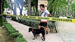 Analizará UNAM muestras de hojas por caso de canes envenenados | VIDEO