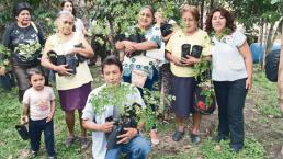 Siembran el árbol maravilloso