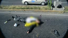 Muere tras estrellarse contra el asfalto | VIDEO