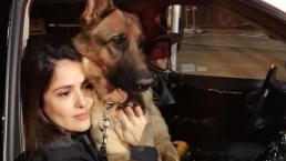 Salma Hayek le llora a su perro 