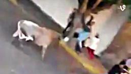 Toro mata a joven durante 'Pamplonada' en México | VIDEO