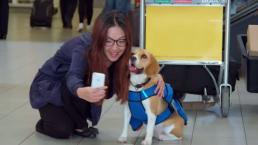 Perro reparte objetos perdidos en aeropuerto | VIDEO