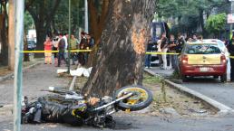 Motociclista muere de golpe mortal contra árbol 