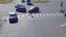 Temeraria forma de cruzar la avenida |VIDEO