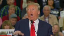Donald Trump causa indignación al burlarse de reportero con discapacidad | VIDEO