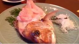 Otro pescado 'zombie' causa furor en restaurante | VIDEO