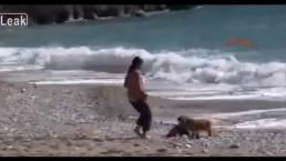 Perro salva a bebé de morir ahogado
