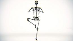 Así se ve el esqueleto mientras haces yoga